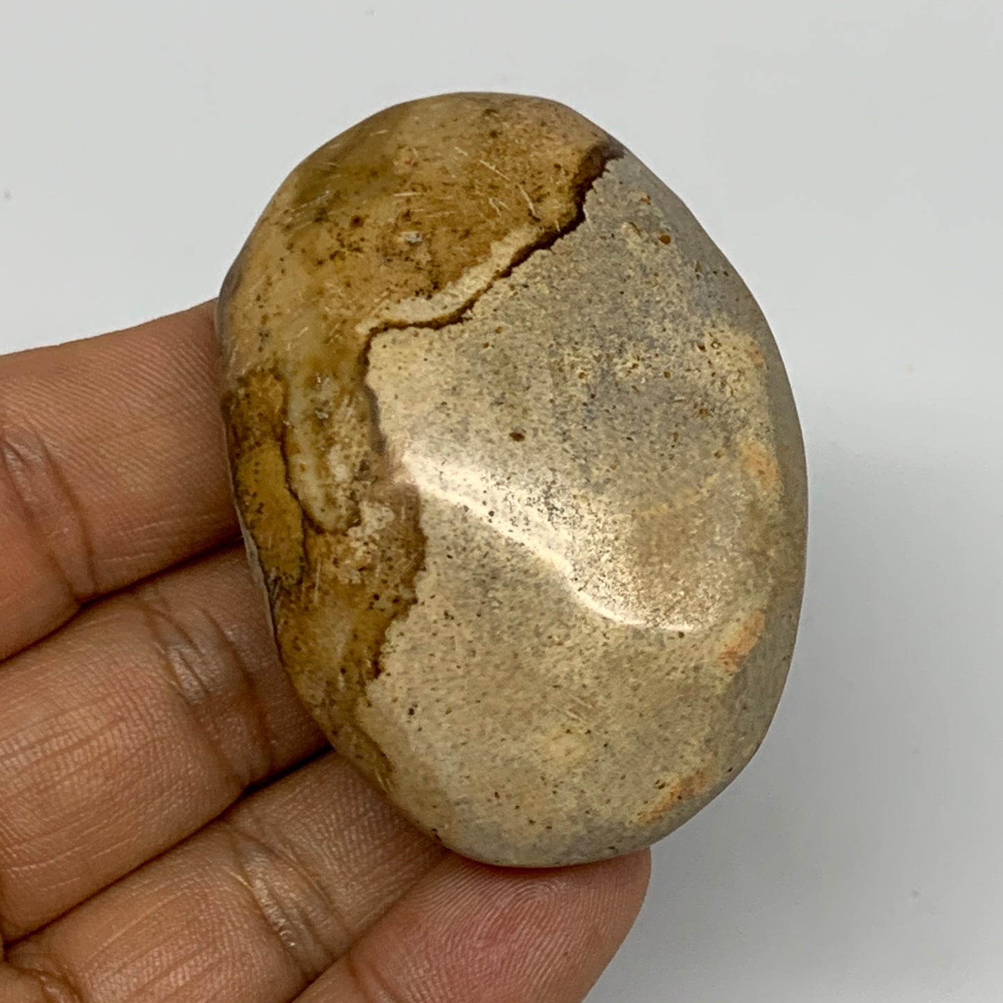 66g, 2.3"x1.6"x1", Yellow Ocean Jasper Palm-Stone Decor @Madagascar, B18176