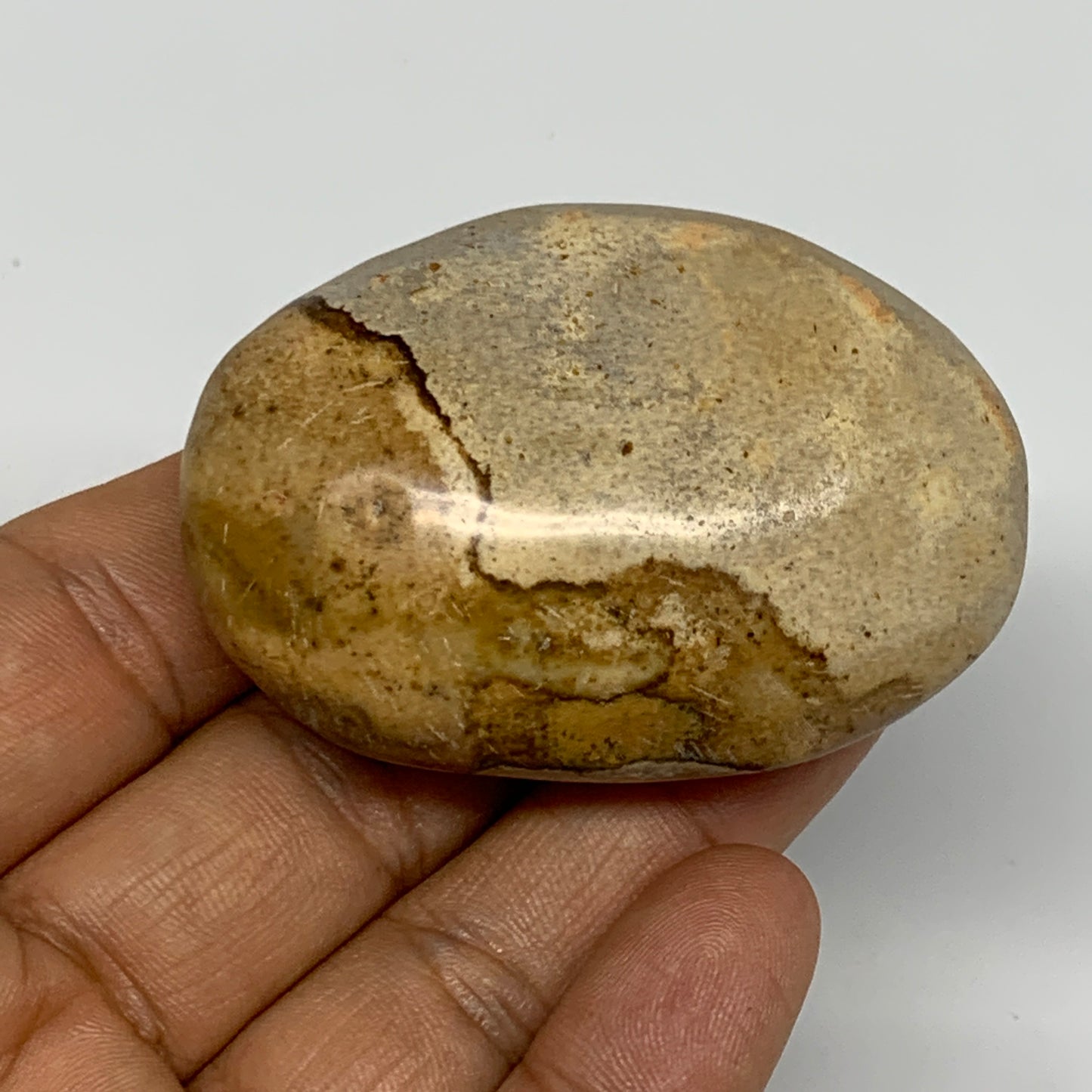 66g, 2.3"x1.6"x1", Yellow Ocean Jasper Palm-Stone Decor @Madagascar, B18176