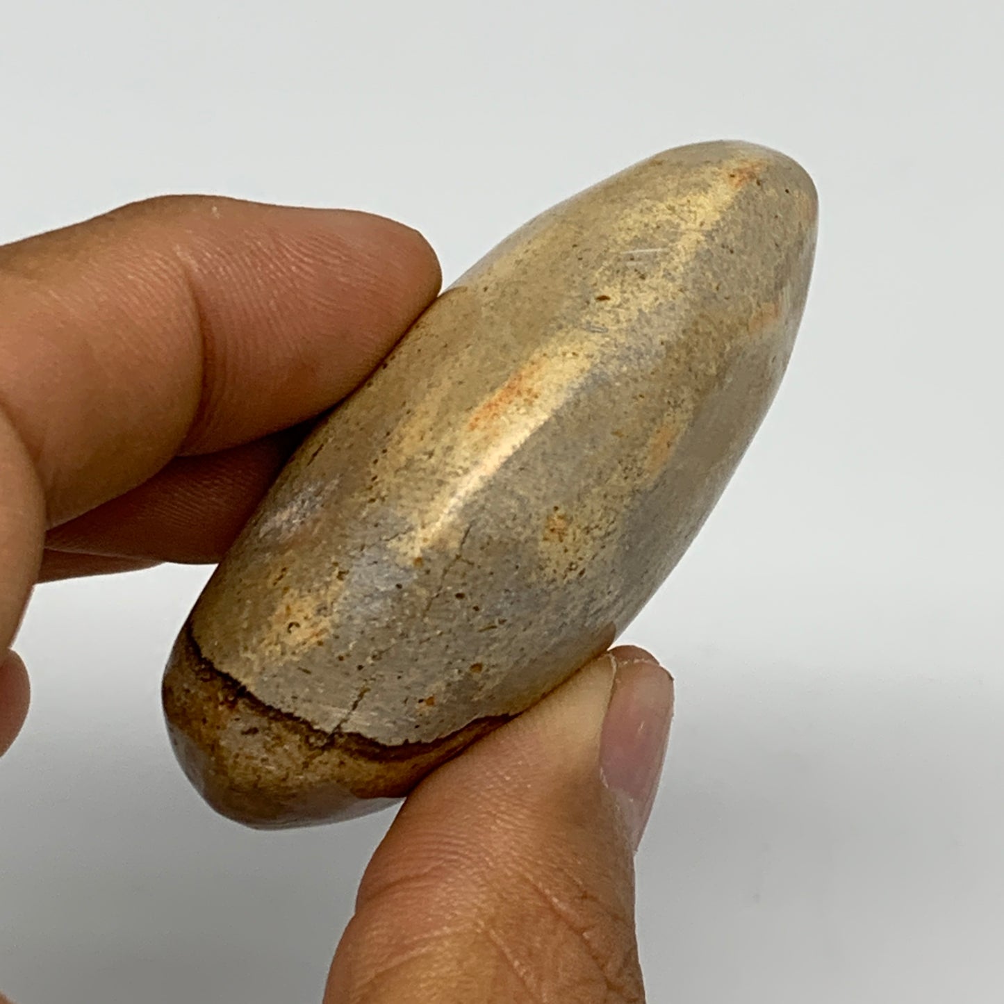 66g, 2.3"x1.6"x1", Yellow Ocean Jasper Palm-Stone Decor @Madagascar, B18176