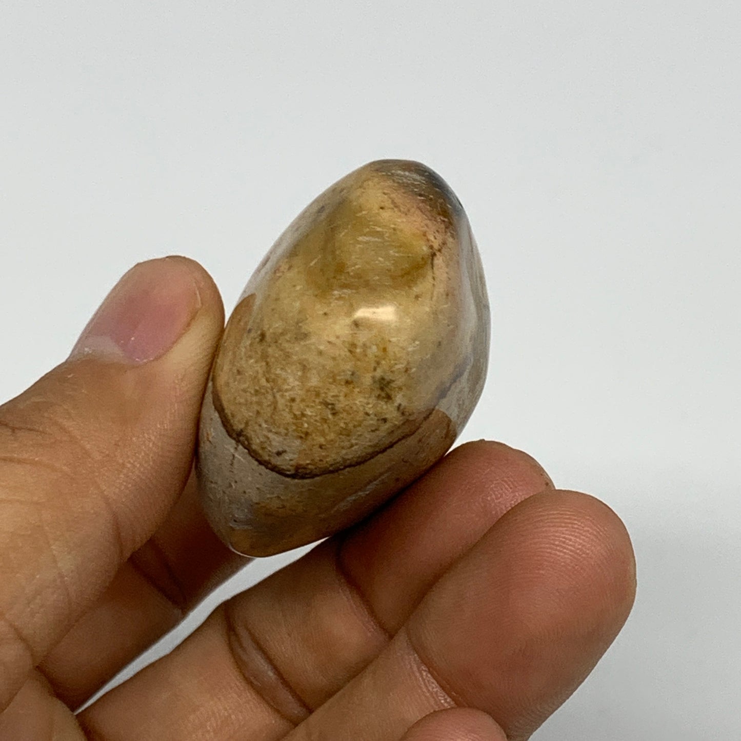 66g, 2.3"x1.6"x1", Yellow Ocean Jasper Palm-Stone Decor @Madagascar, B18176