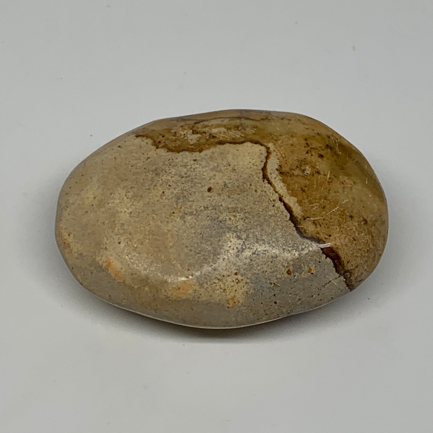 66g, 2.3"x1.6"x1", Yellow Ocean Jasper Palm-Stone Decor @Madagascar, B18176