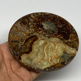 191.8g, 4.4"x0.4", Ammonite coaster fossils made round disc @Madagascar, B15028