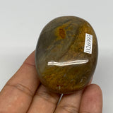 89.2g, 2.2"x2.6"x1.1", Polychrome Jasper Palm-Stone Reiki @Madagascar, B26993