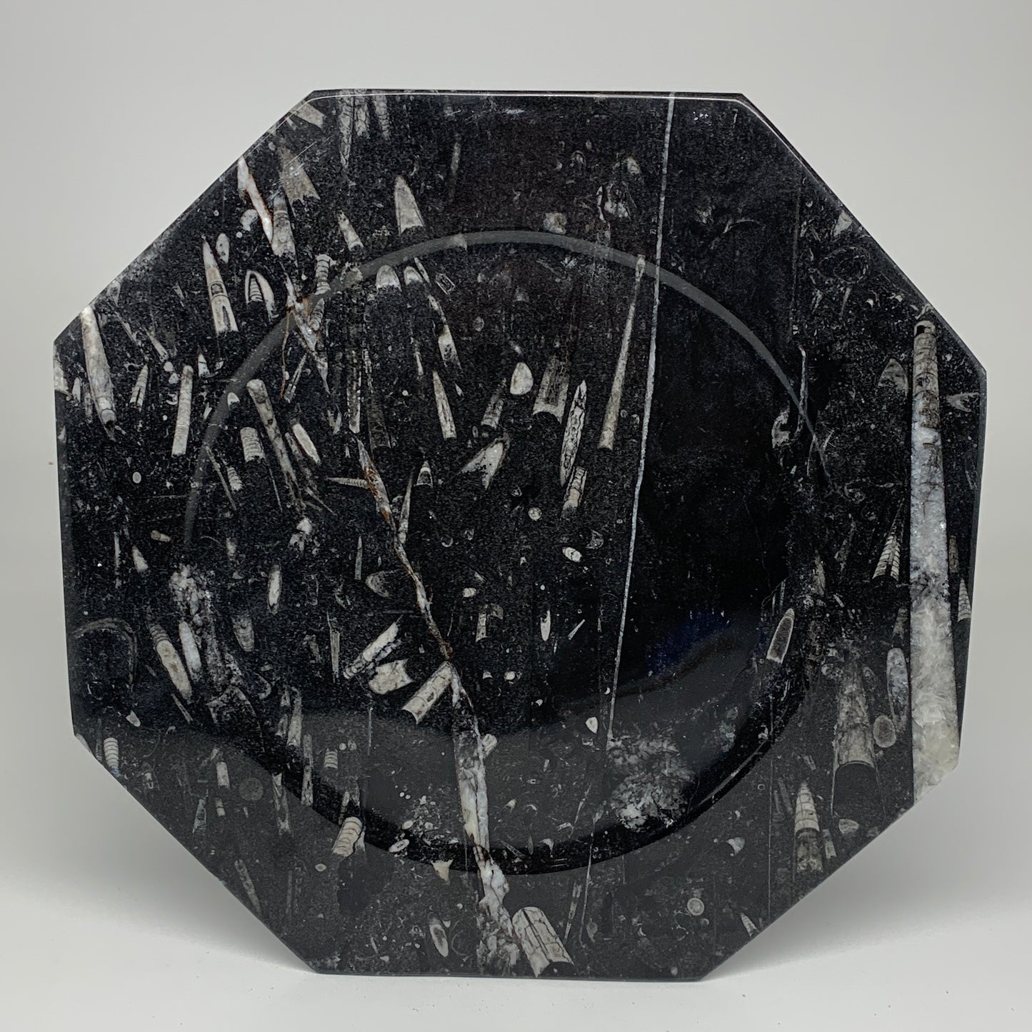 2pcs, 12" Large Octagon Shape Black Fossils Orthoceras Plates @Morocco, B8350