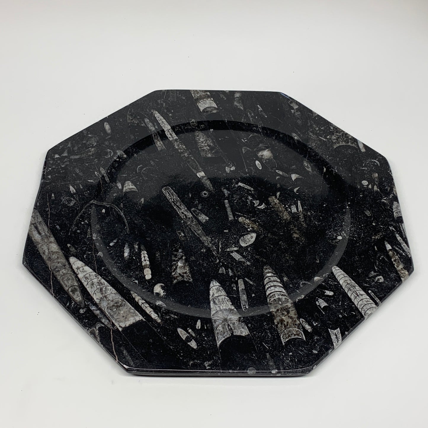 2pcs, 12" Large Octagon Shape Black Fossils Orthoceras Plates @Morocco, B8350