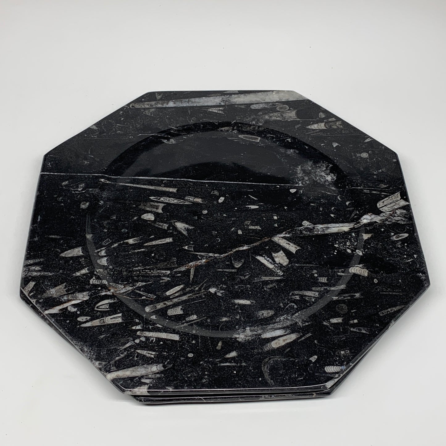 2pcs, 12" Large Octagon Shape Black Fossils Orthoceras Plates @Morocco, B8350