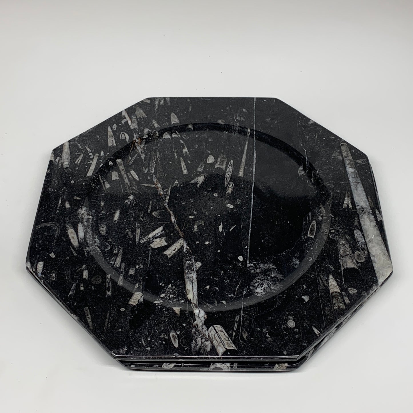 2pcs, 12" Large Octagon Shape Black Fossils Orthoceras Plates @Morocco, B8350