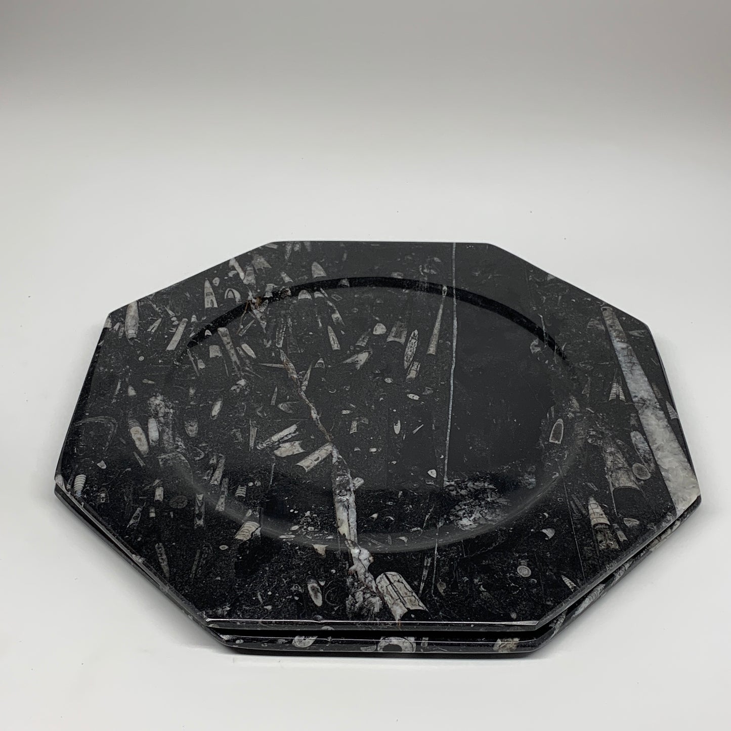 2pcs, 12" Large Octagon Shape Black Fossils Orthoceras Plates @Morocco, B8350