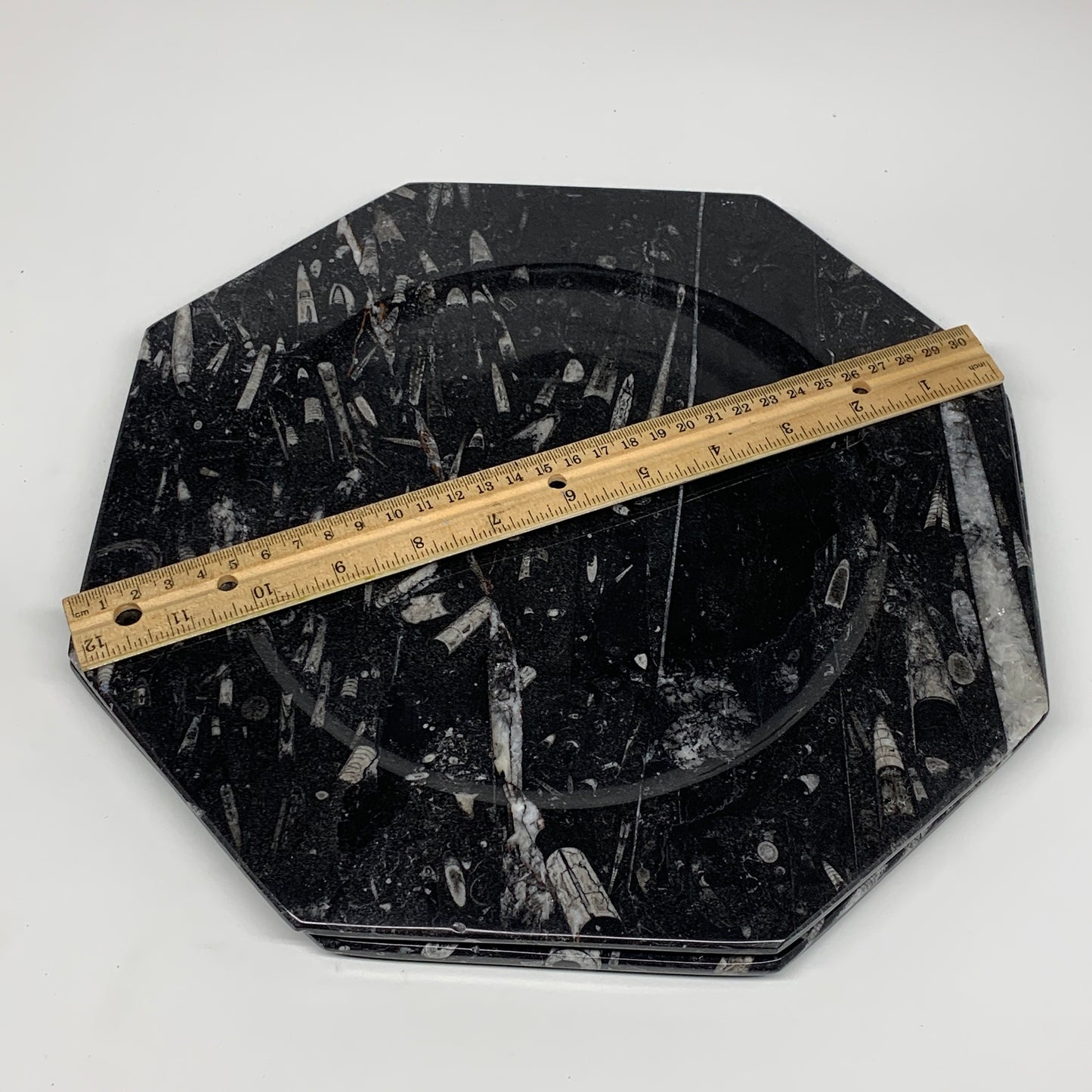 2pcs, 12" Large Octagon Shape Black Fossils Orthoceras Plates @Morocco, B8350