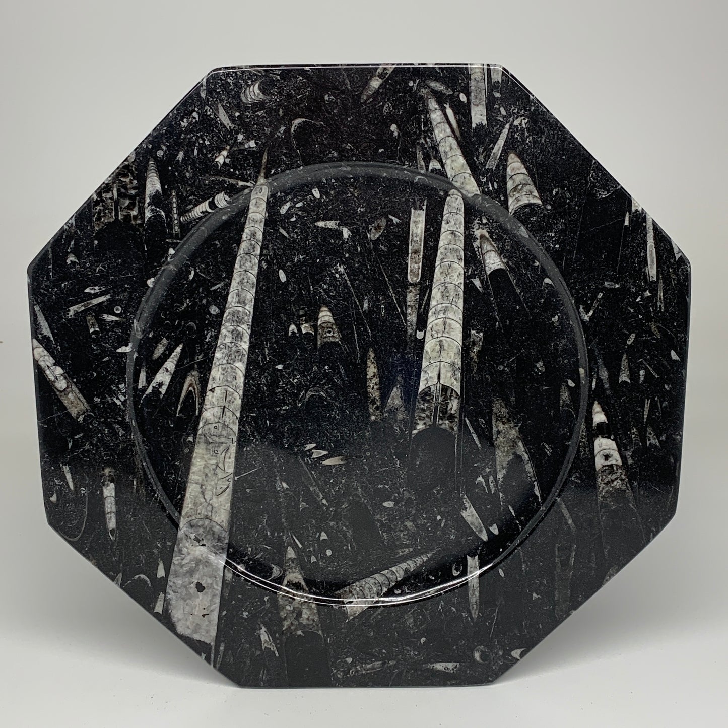 2pcs, 12" Large Octagon Shape Black Fossils Orthoceras Plates @Morocco, B8352