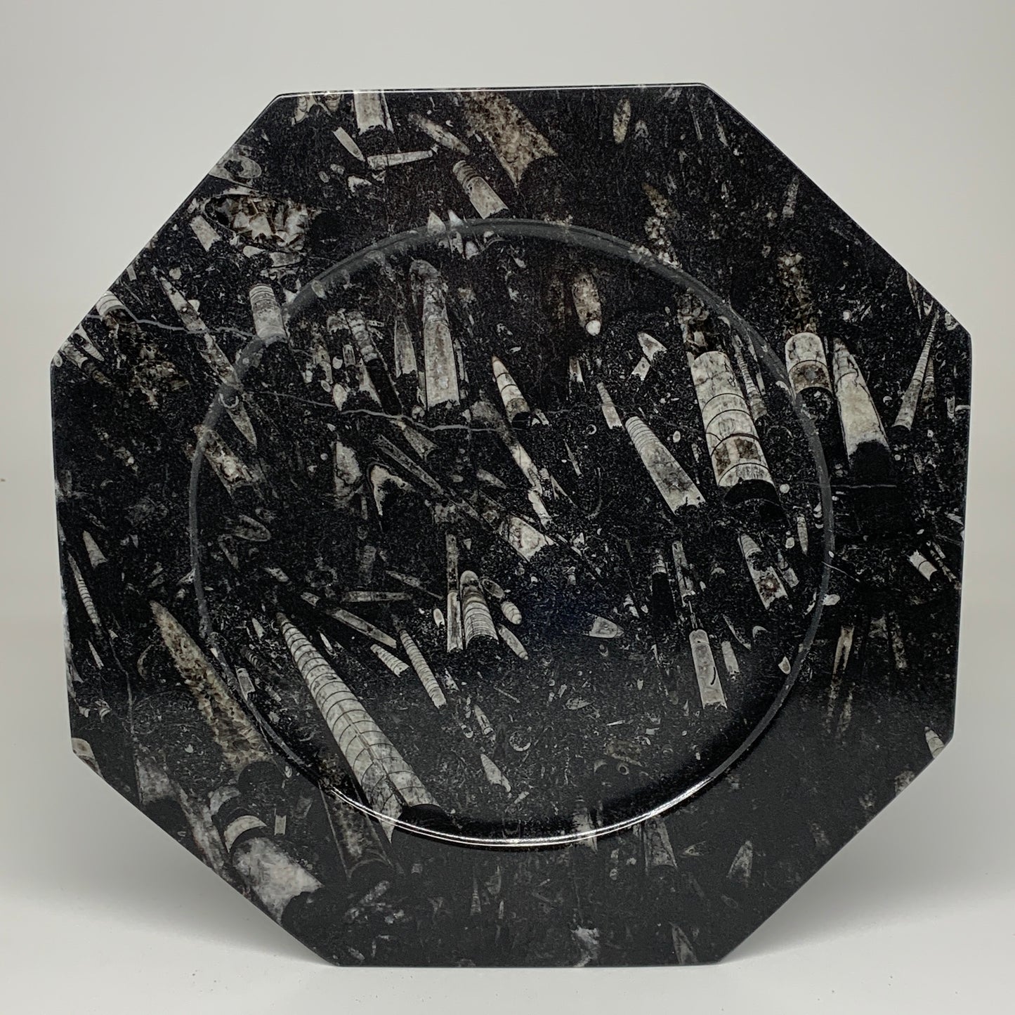 2pcs, 12" Large Octagon Shape Black Fossils Orthoceras Plates @Morocco, B8352