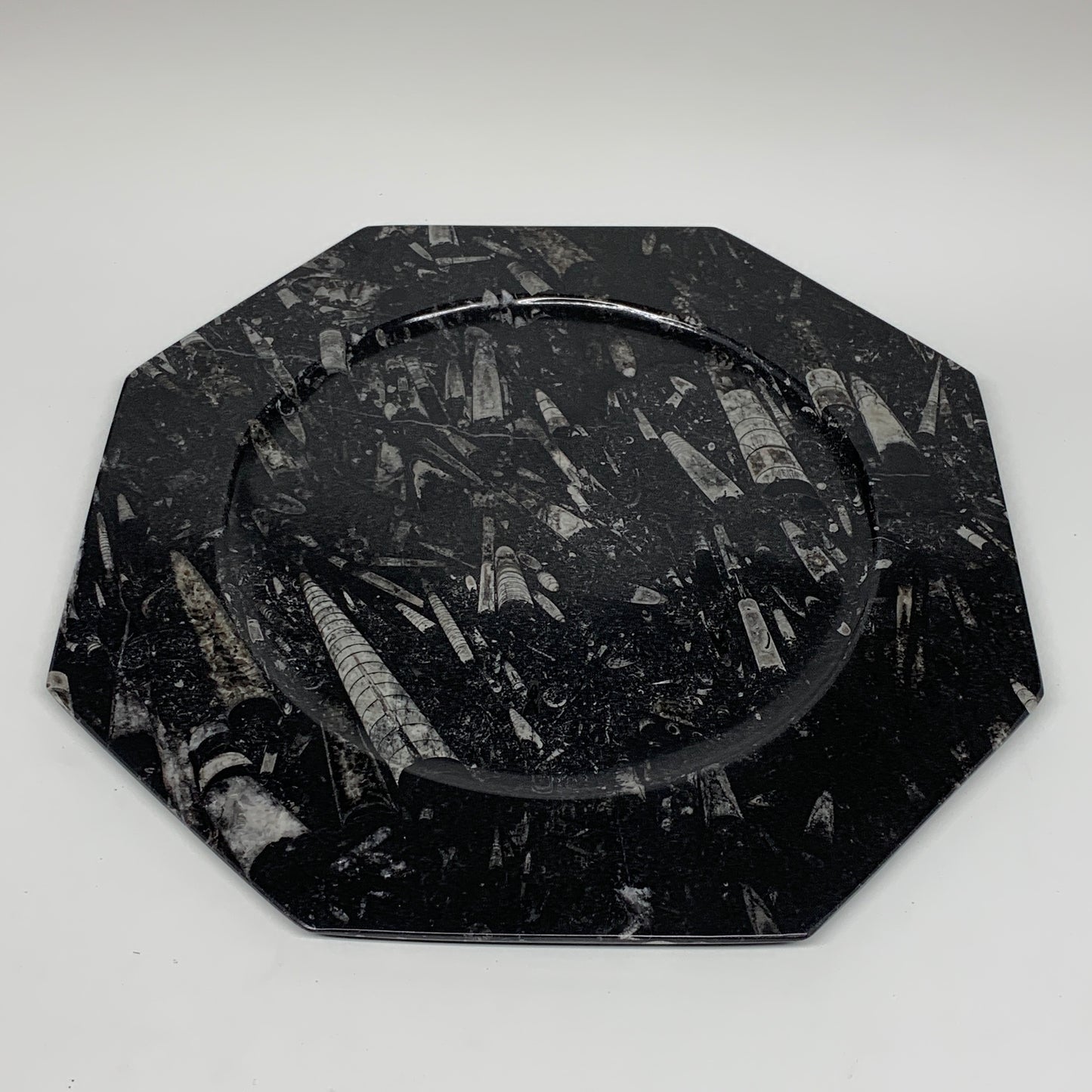 2pcs, 12" Large Octagon Shape Black Fossils Orthoceras Plates @Morocco, B8352