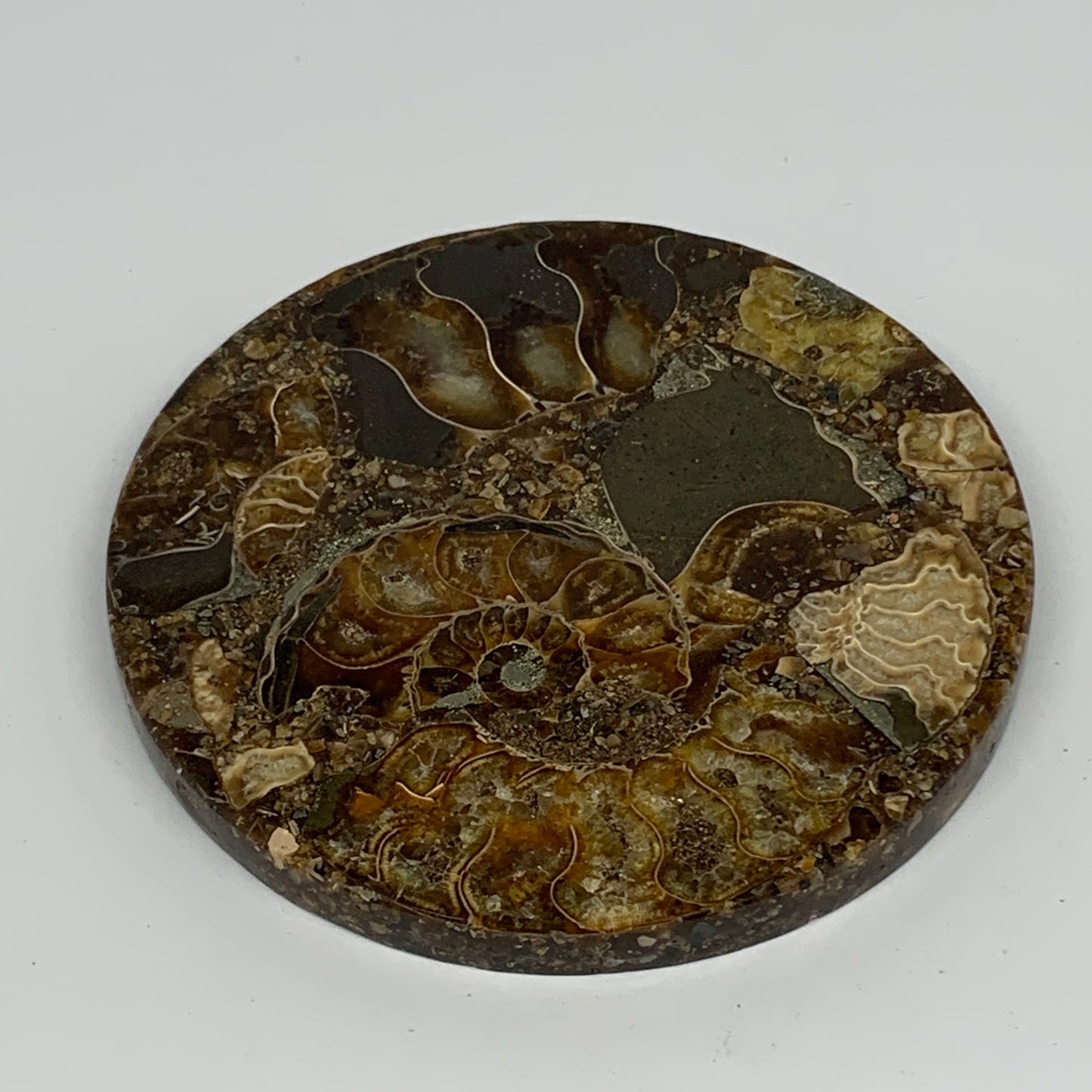 219.8g, 4.4"x0.4", Ammonite coaster fossils made round disc @Madagascar, B15032