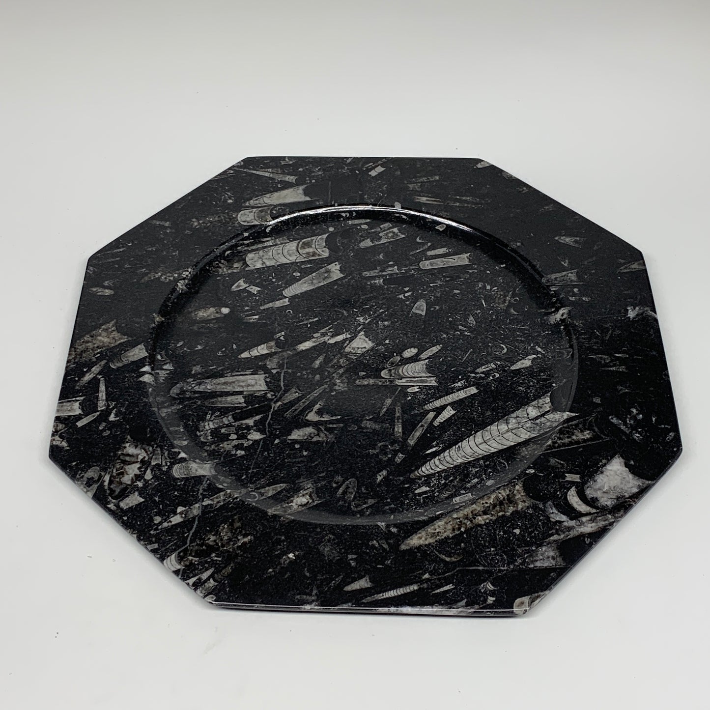 2pcs, 12" Large Octagon Shape Black Fossils Orthoceras Plates @Morocco, B8352