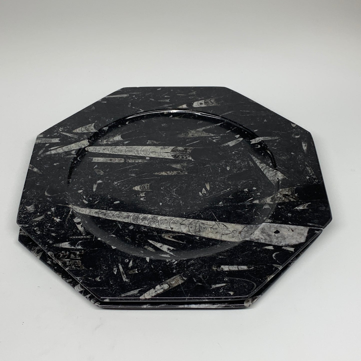 2pcs, 12" Large Octagon Shape Black Fossils Orthoceras Plates @Morocco, B8352