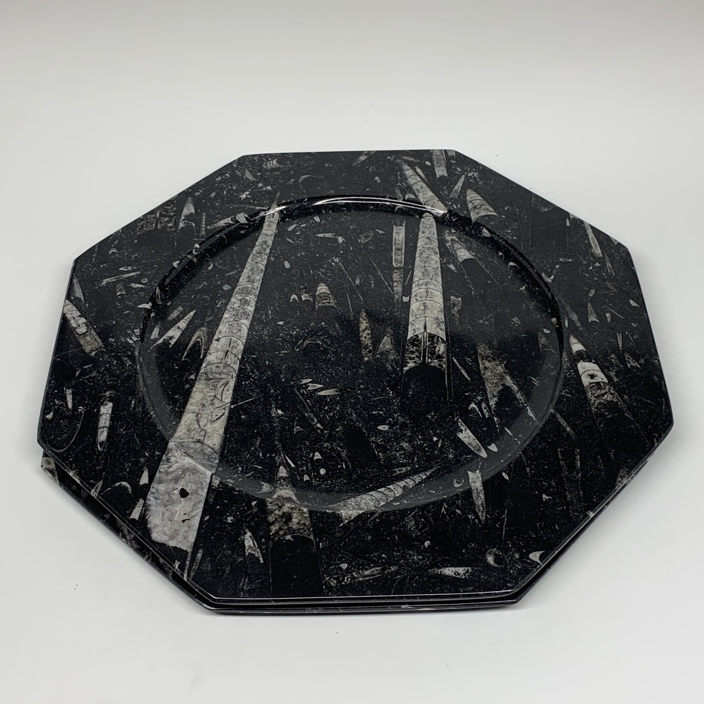 2pcs, 12" Large Octagon Shape Black Fossils Orthoceras Plates @Morocco, B8352