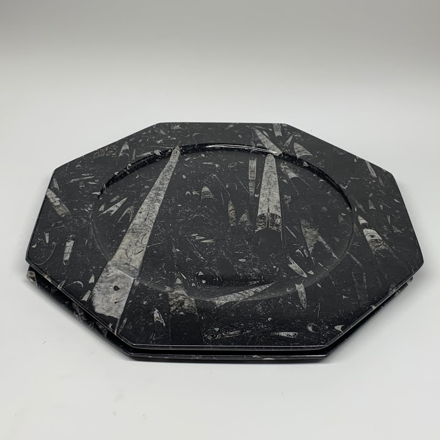 2pcs, 12" Large Octagon Shape Black Fossils Orthoceras Plates @Morocco, B8352