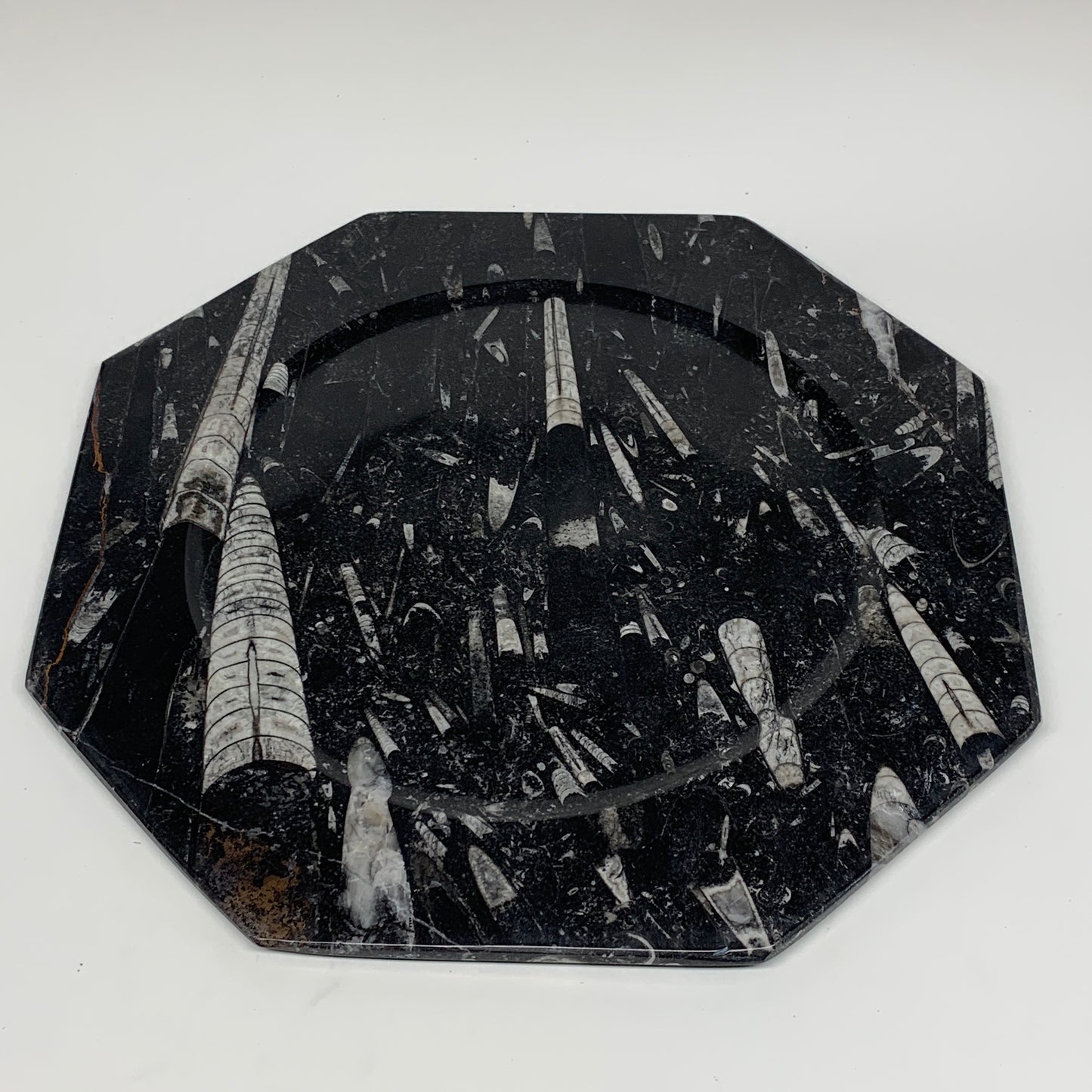 2pcs, 12" Large Octagon Shape Black Fossils Orthoceras Plates @Morocco, B8353