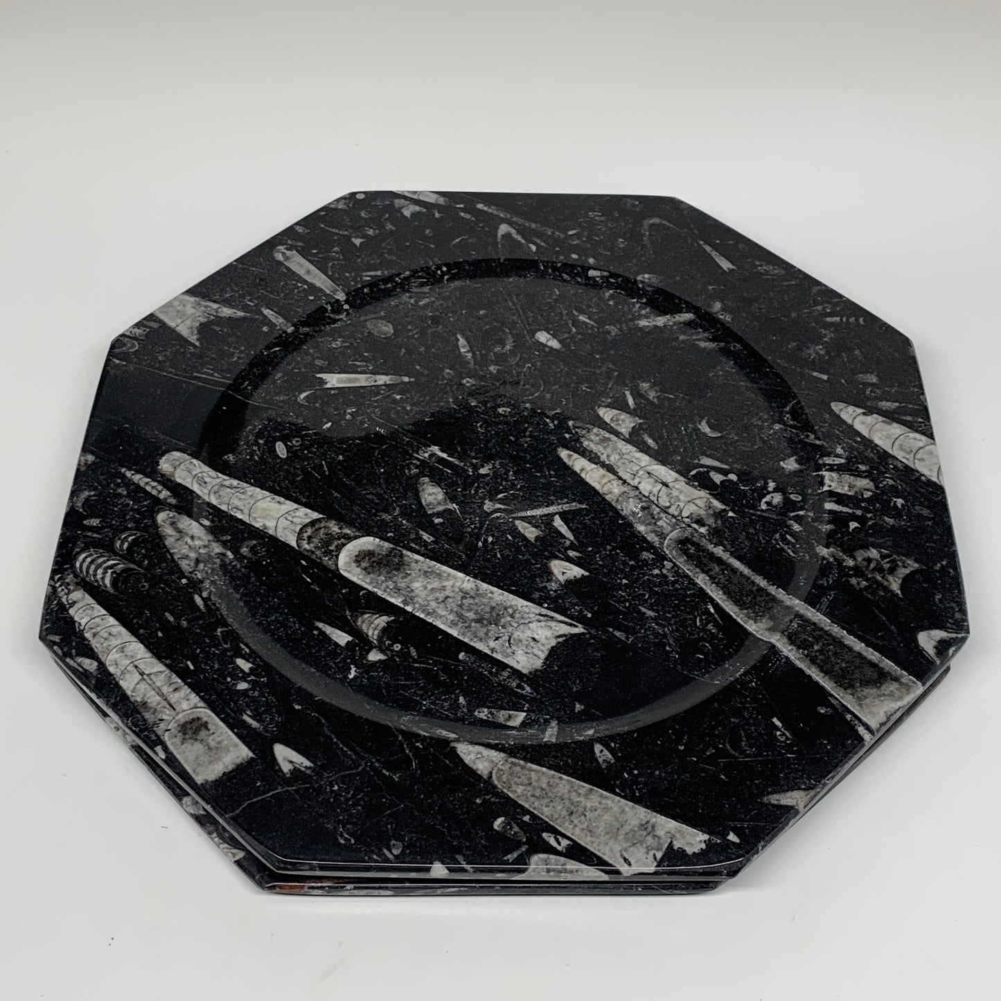2pcs, 12" Large Octagon Shape Black Fossils Orthoceras Plates @Morocco, B8353