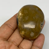 68.3g, 2.2"x1.6"x0.9", Yellow Ocean Jasper Palm-Stone Decor @Madagascar, B18182