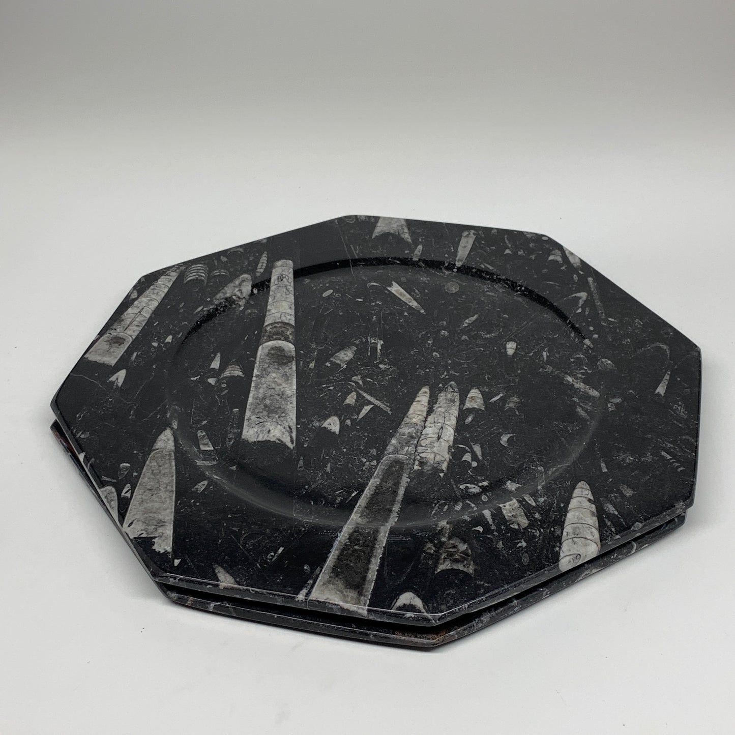 2pcs, 12" Large Octagon Shape Black Fossils Orthoceras Plates @Morocco, B8353
