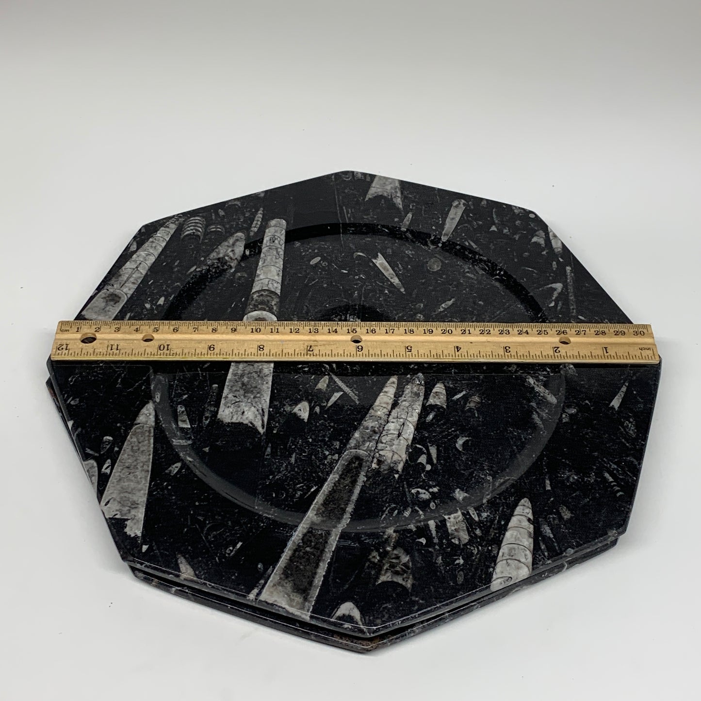 2pcs, 12" Large Octagon Shape Black Fossils Orthoceras Plates @Morocco, B8353