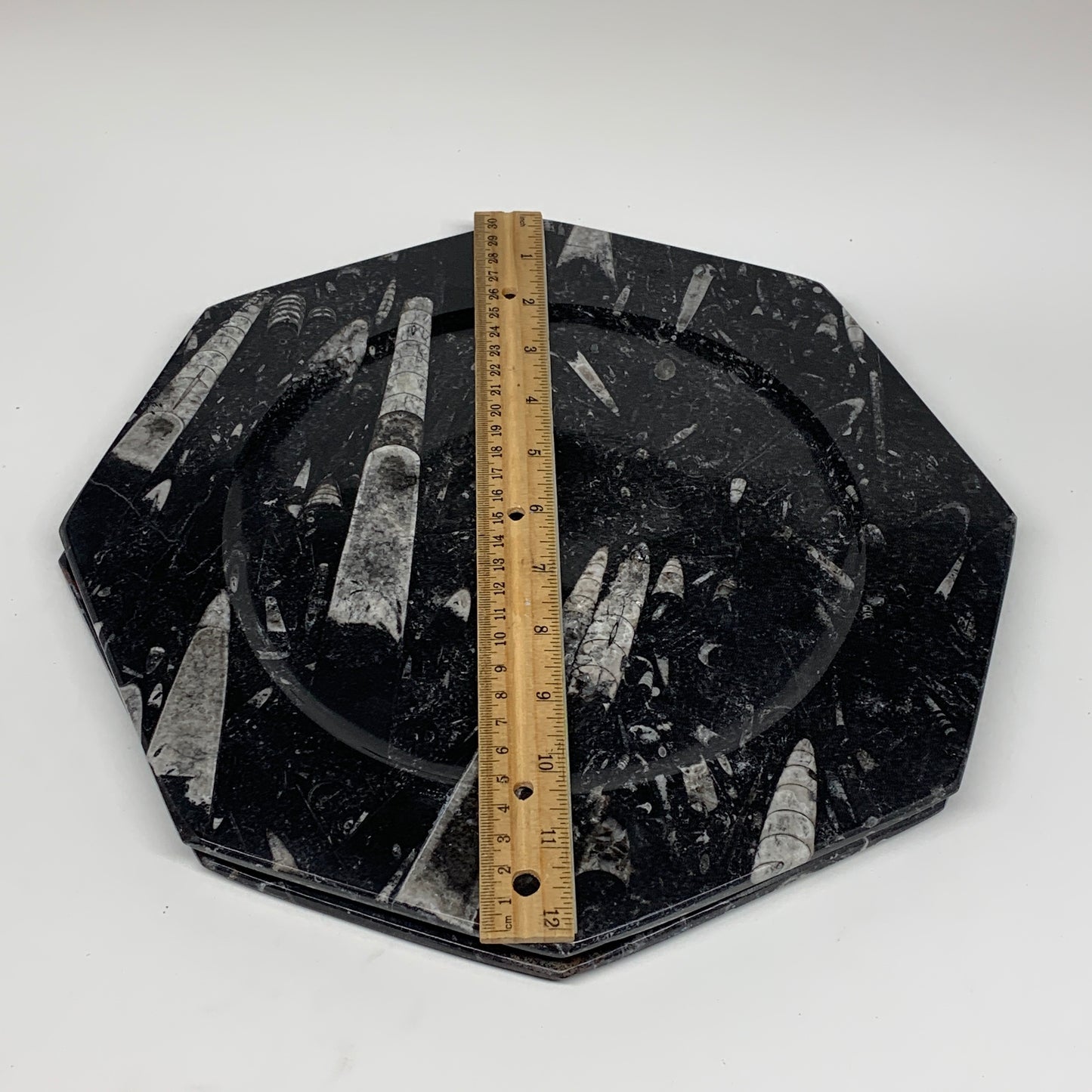 2pcs, 12" Large Octagon Shape Black Fossils Orthoceras Plates @Morocco, B8353