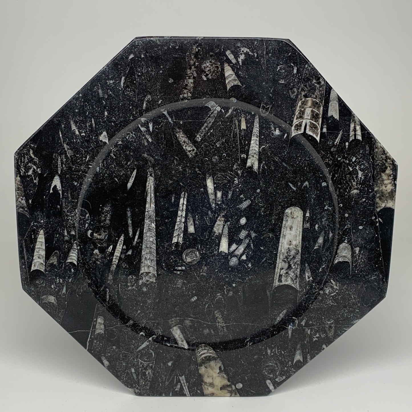 2pcs, 12" Large Octagon Shape Black Fossils Orthoceras Plates @Morocco, B8354