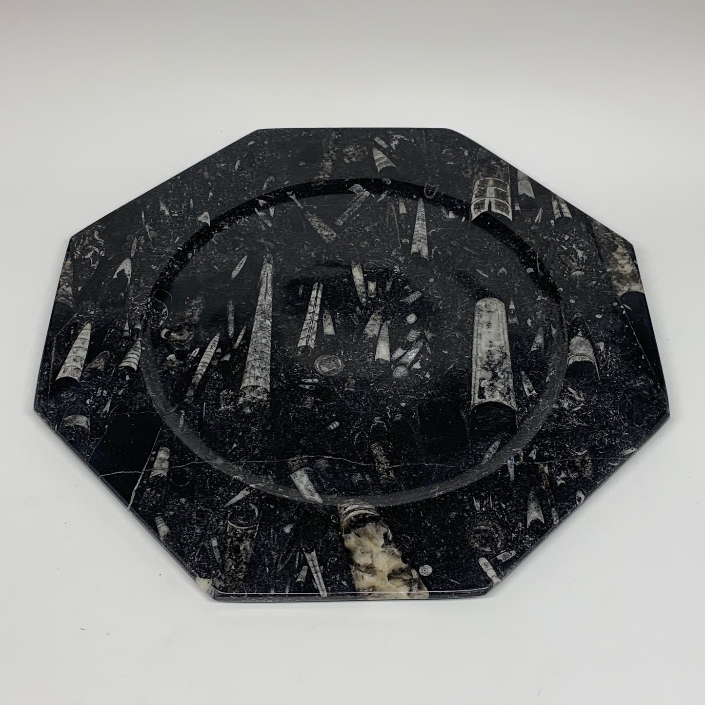 2pcs, 12" Large Octagon Shape Black Fossils Orthoceras Plates @Morocco, B8354