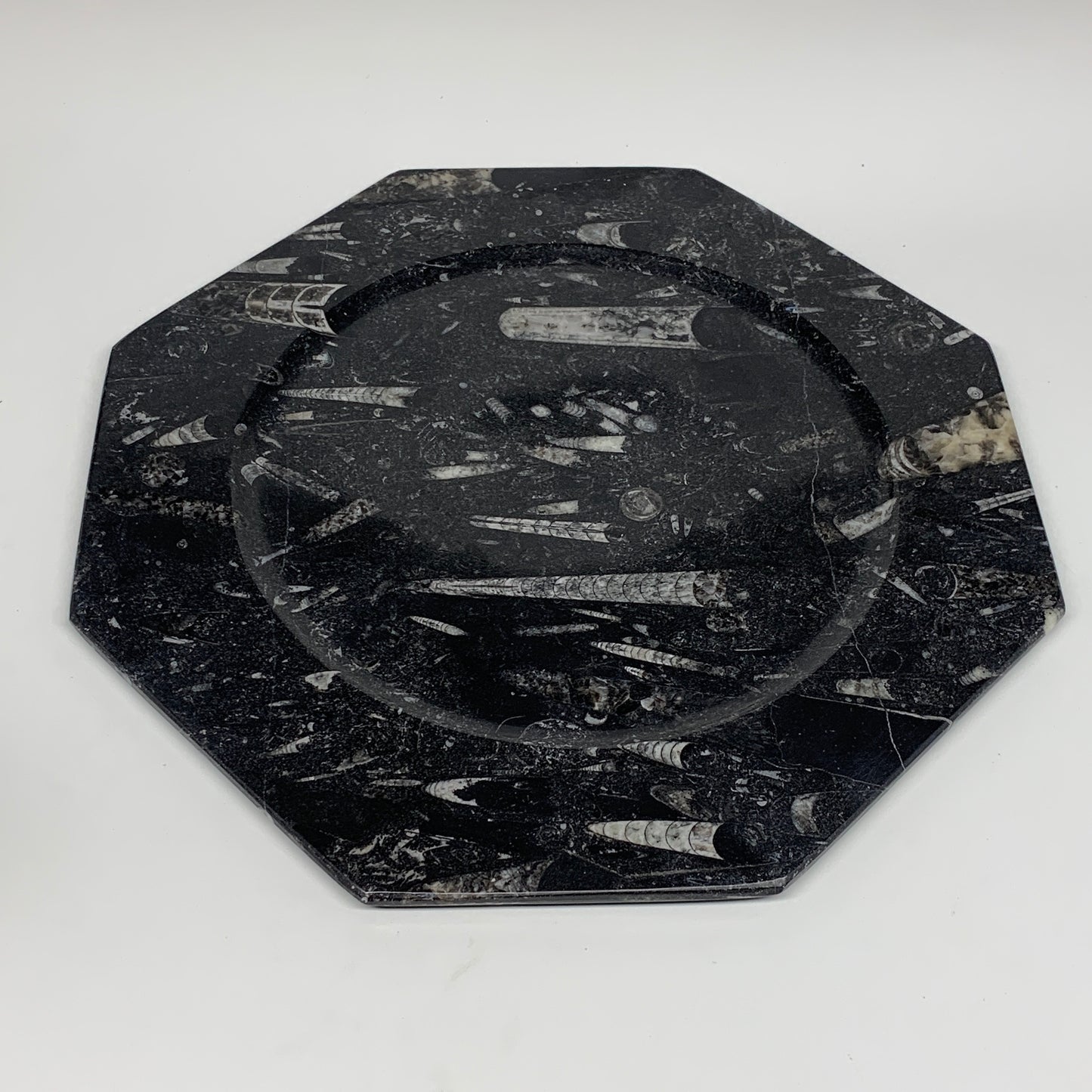 2pcs, 12" Large Octagon Shape Black Fossils Orthoceras Plates @Morocco, B8354