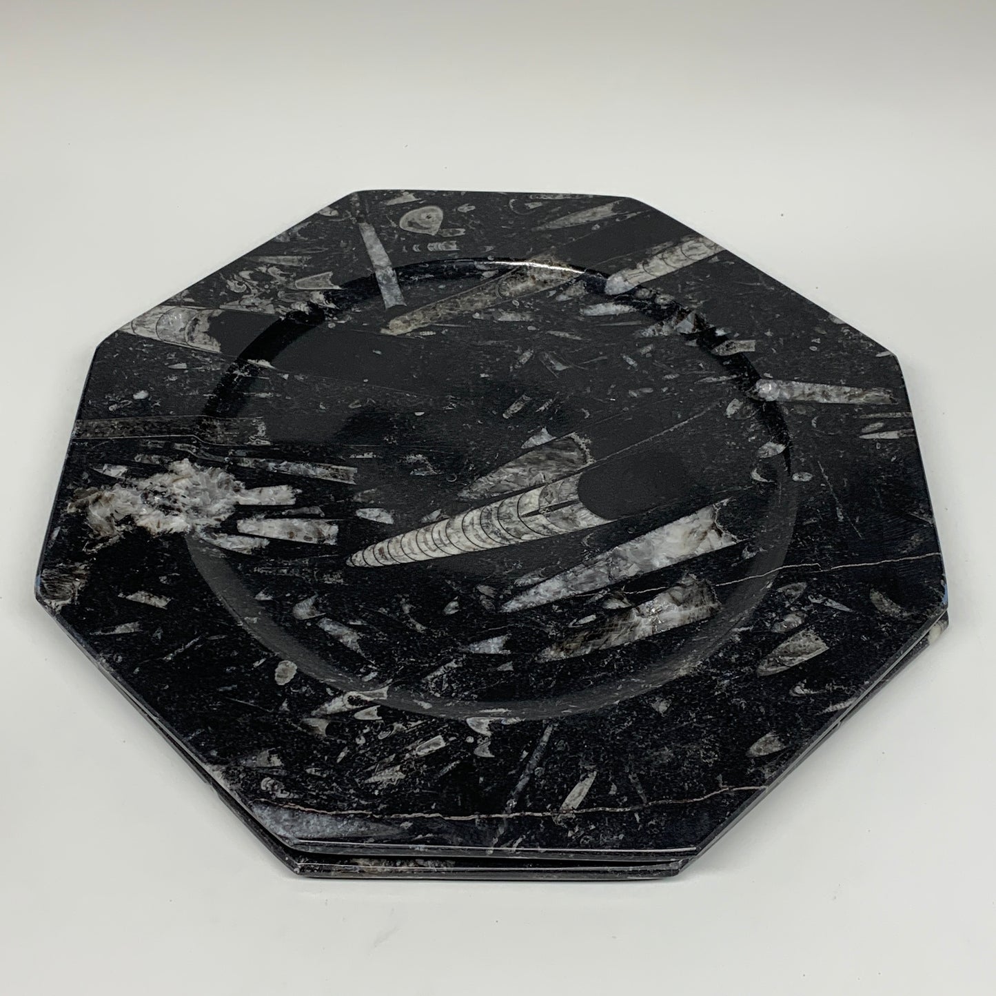 2pcs, 12" Large Octagon Shape Black Fossils Orthoceras Plates @Morocco, B8354