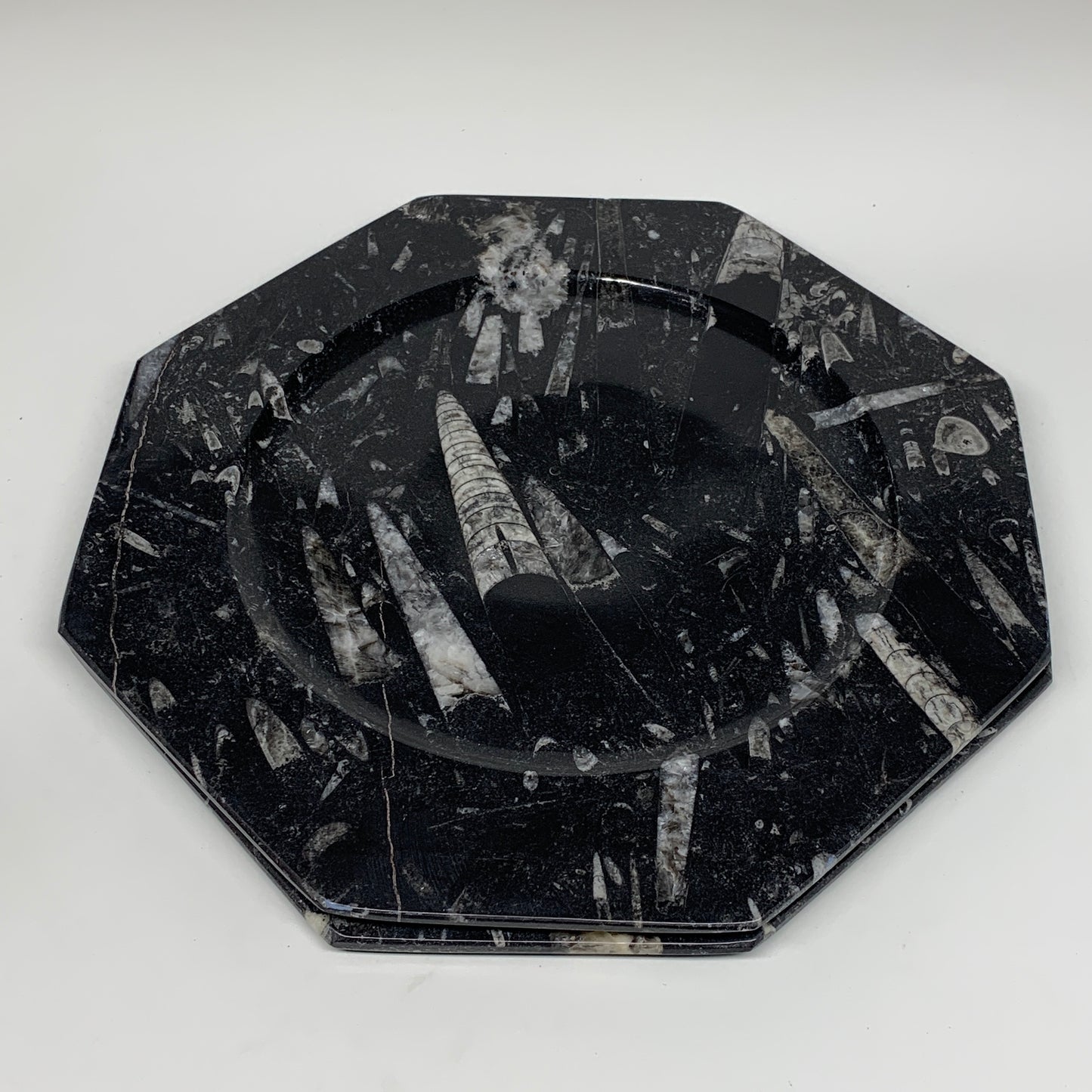 2pcs, 12" Large Octagon Shape Black Fossils Orthoceras Plates @Morocco, B8354