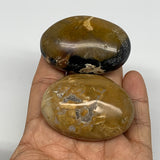 129g, 2.1"-2.2", 2pcs, Yellow Ocean Jasper Palm-Stone Decor @Madagascar, B18183