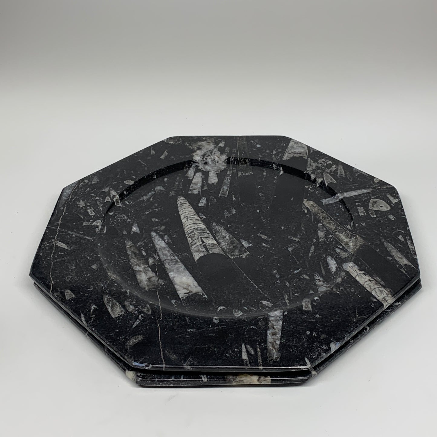 2pcs, 12" Large Octagon Shape Black Fossils Orthoceras Plates @Morocco, B8354