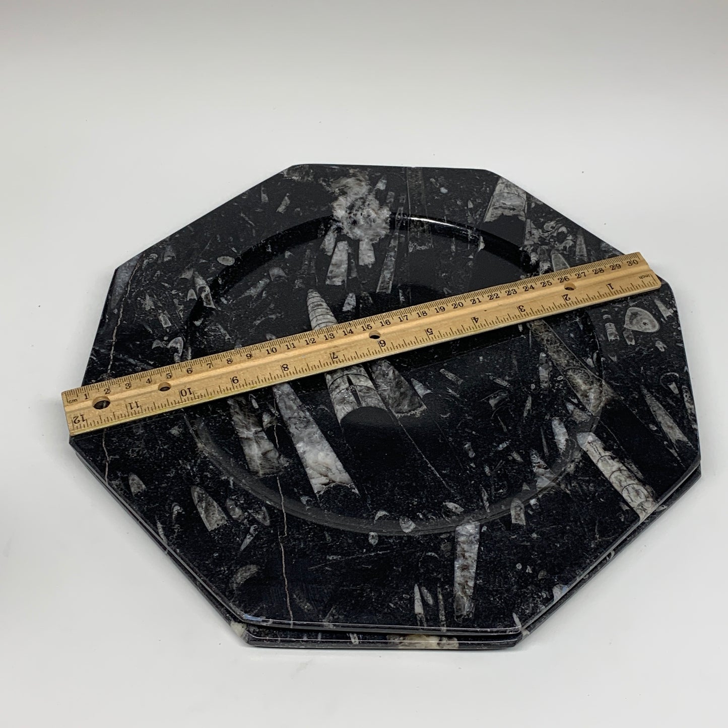 2pcs, 12" Large Octagon Shape Black Fossils Orthoceras Plates @Morocco, B8354