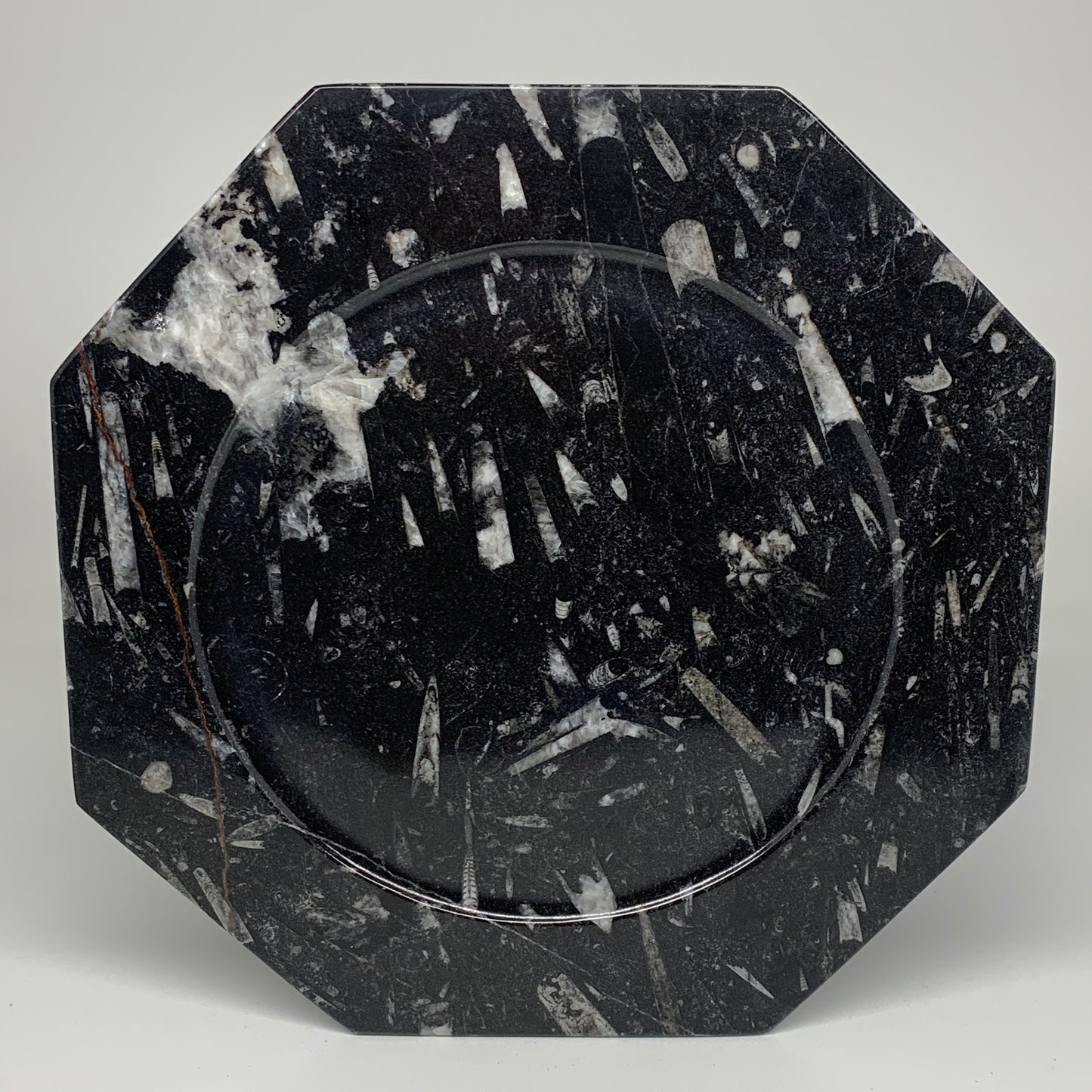 2pcs, 12" Large Octagon Shape Black Fossils Orthoceras Plates @Morocco, B8355