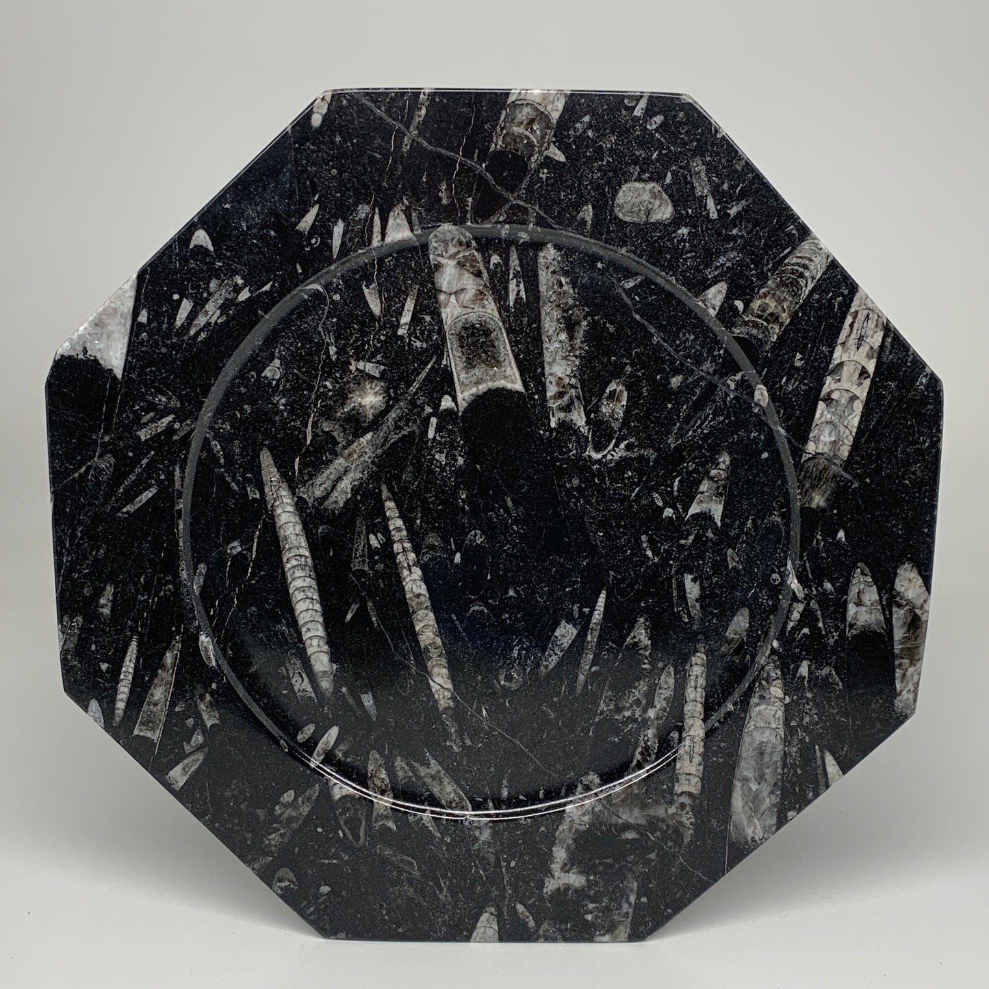 2pcs, 12" Large Octagon Shape Black Fossils Orthoceras Plates @Morocco, B8355