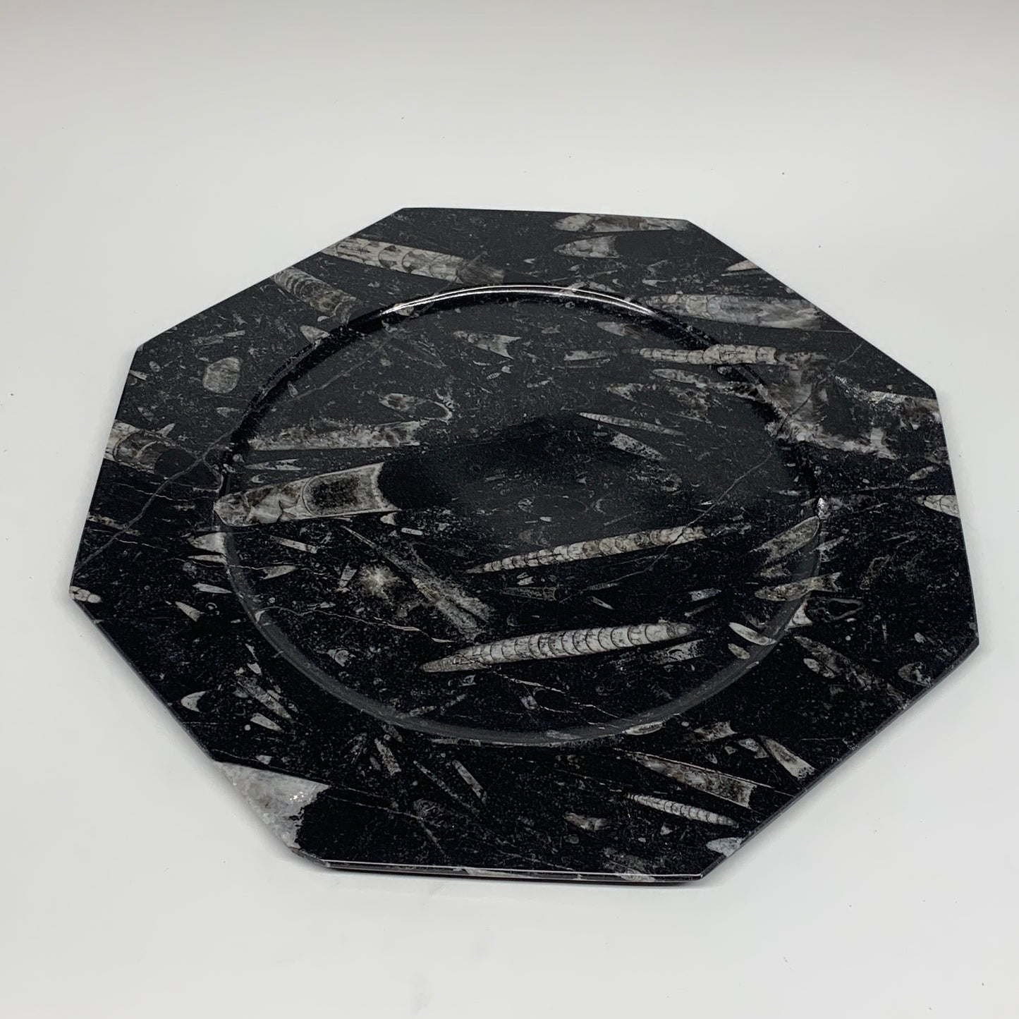 2pcs, 12" Large Octagon Shape Black Fossils Orthoceras Plates @Morocco, B8355