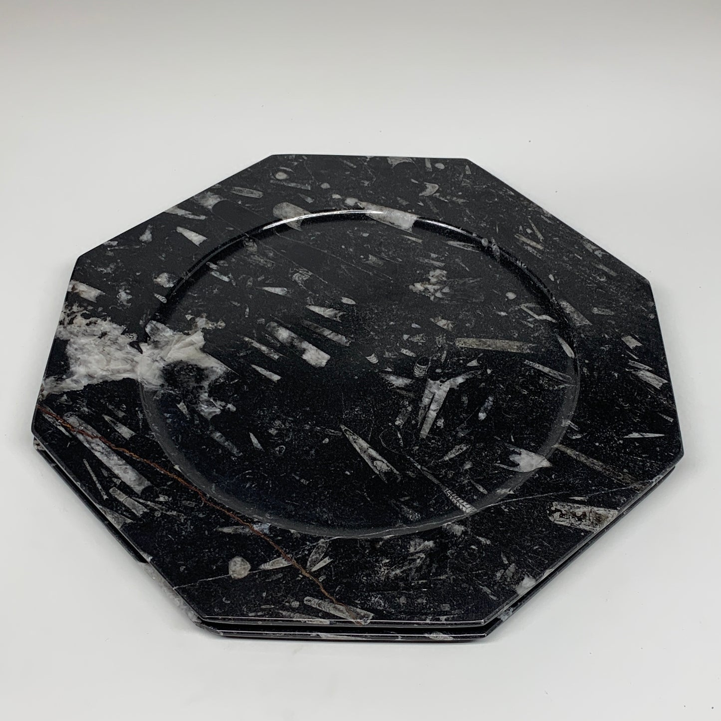 2pcs, 12" Large Octagon Shape Black Fossils Orthoceras Plates @Morocco, B8355