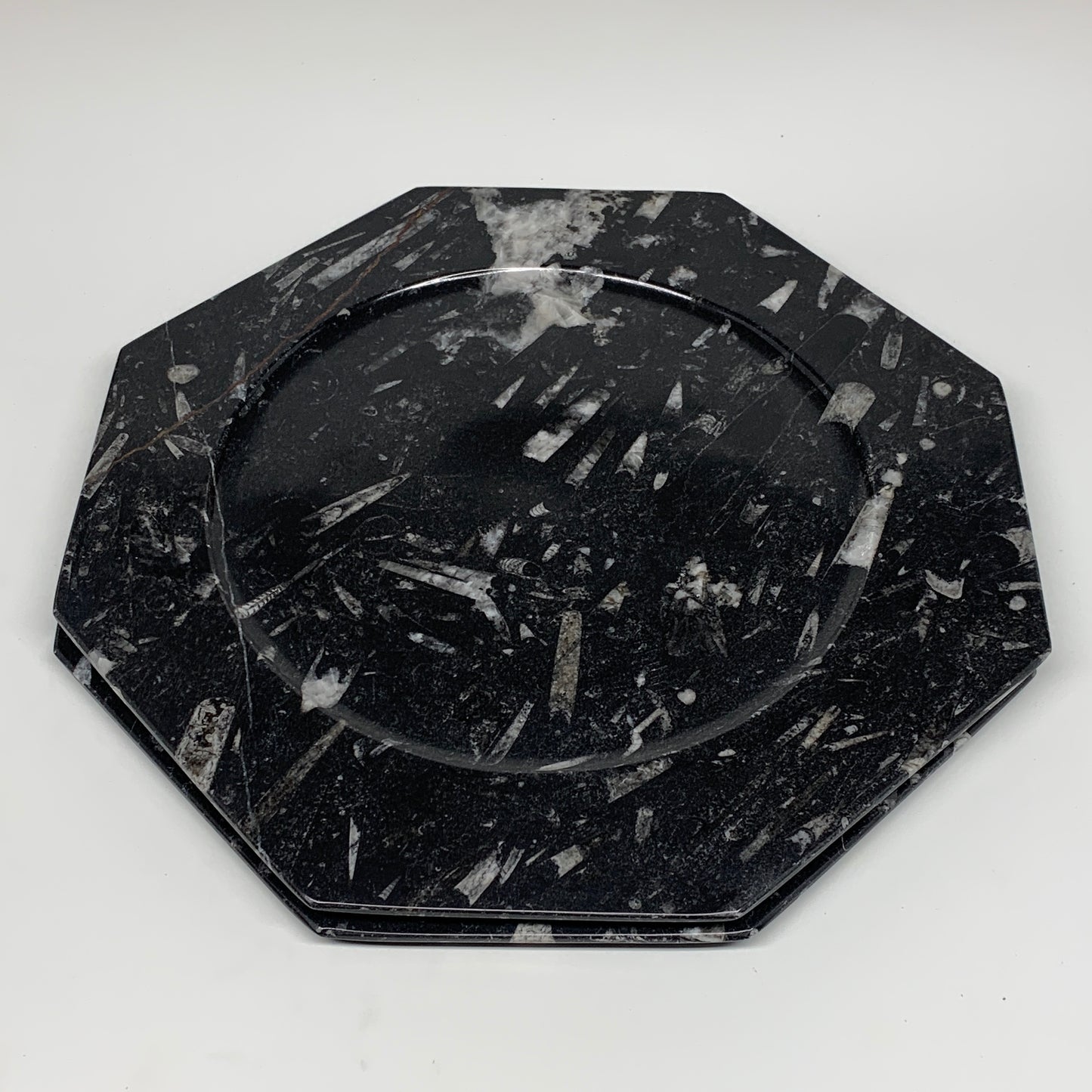 2pcs, 12" Large Octagon Shape Black Fossils Orthoceras Plates @Morocco, B8355