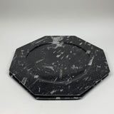 2pcs, 12" Large Octagon Shape Black Fossils Orthoceras Plates @Morocco, B8355