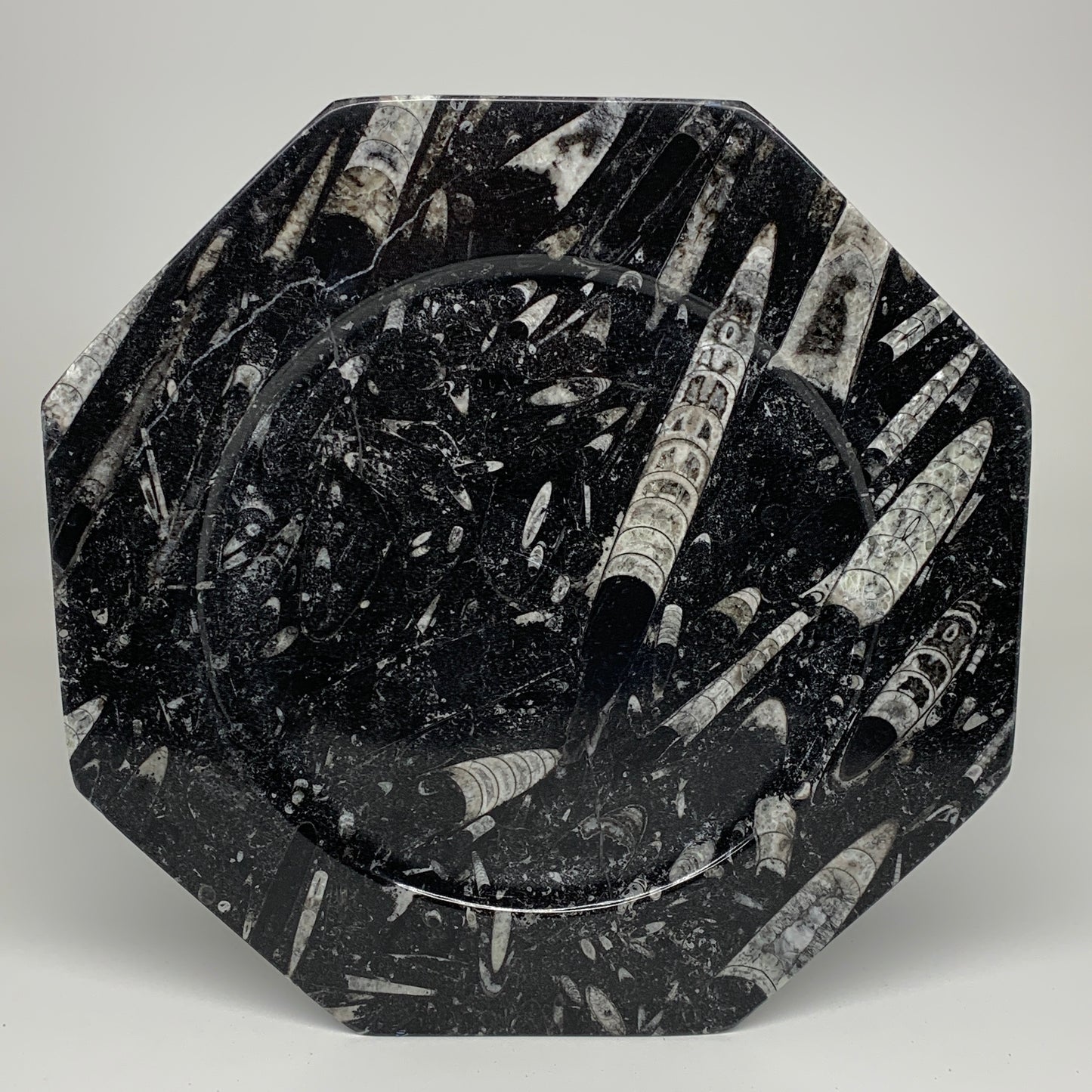 2pcs, 12" Large Octagon Shape Black Fossils Orthoceras Plates @Morocco, B8356