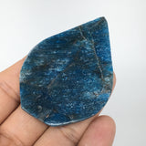 42.3g, 2.6" x 1.8" Blue Apatite Cabochon Large Drop Shape @Madagascar,B1650