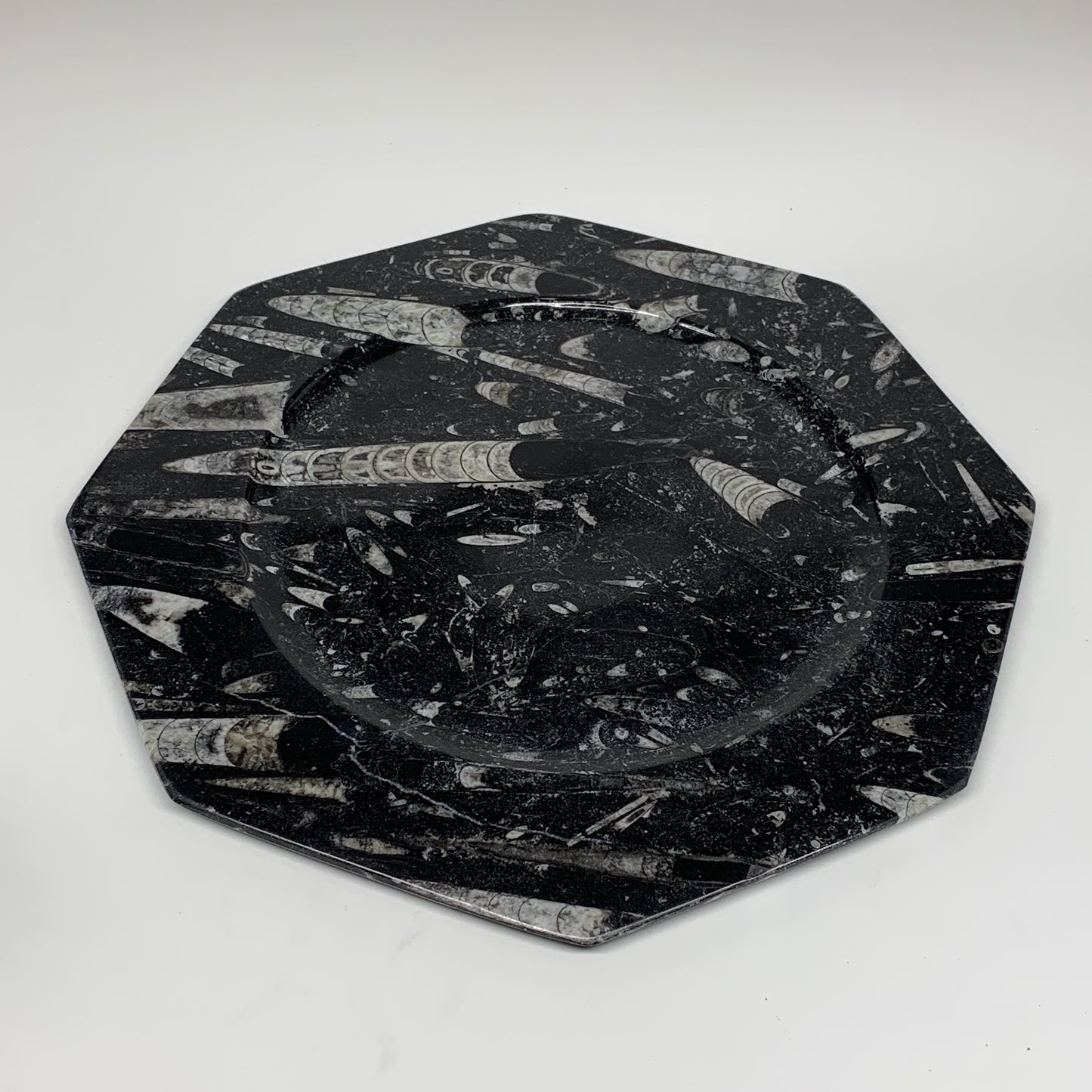 2pcs, 12" Large Octagon Shape Black Fossils Orthoceras Plates @Morocco, B8356
