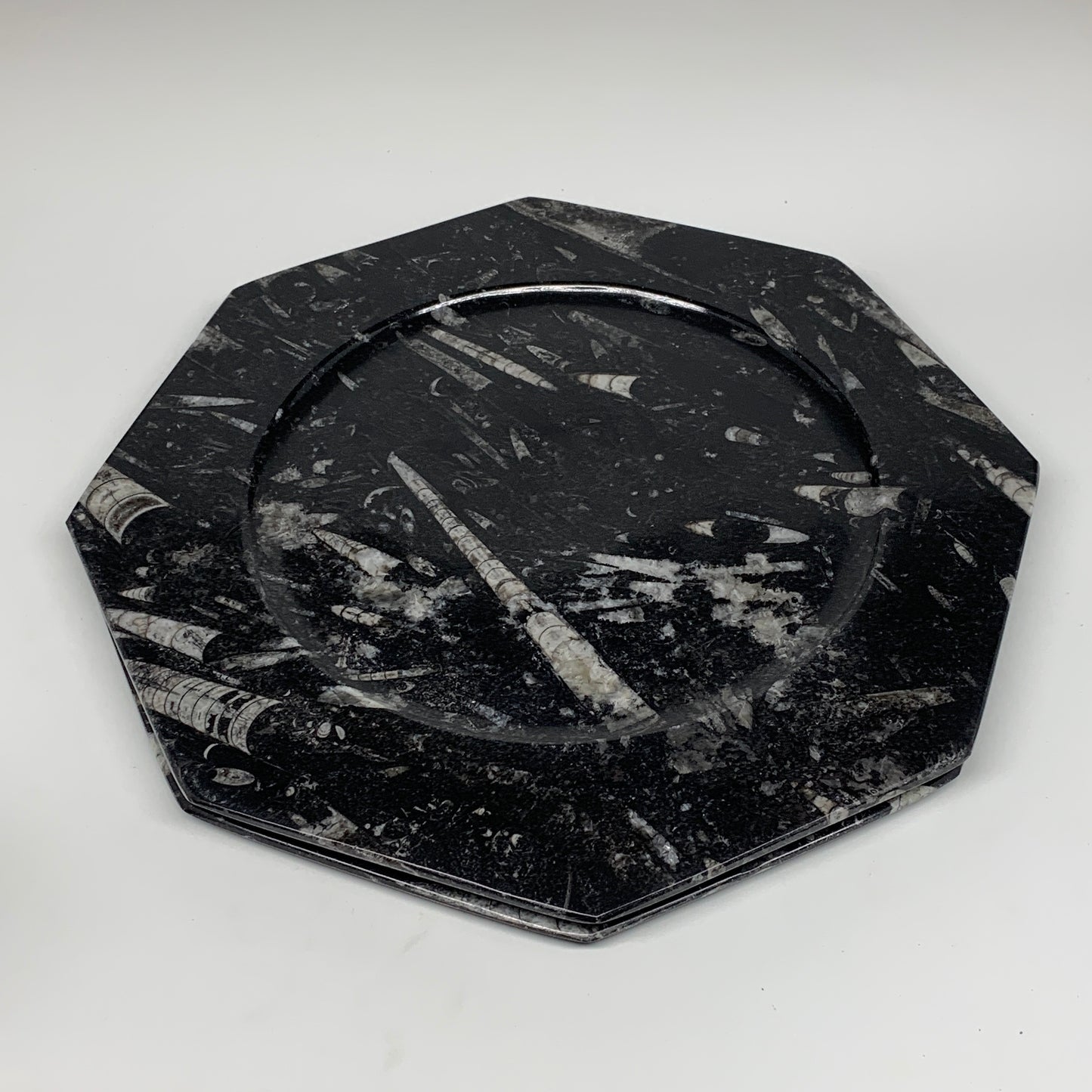 2pcs, 12" Large Octagon Shape Black Fossils Orthoceras Plates @Morocco, B8356