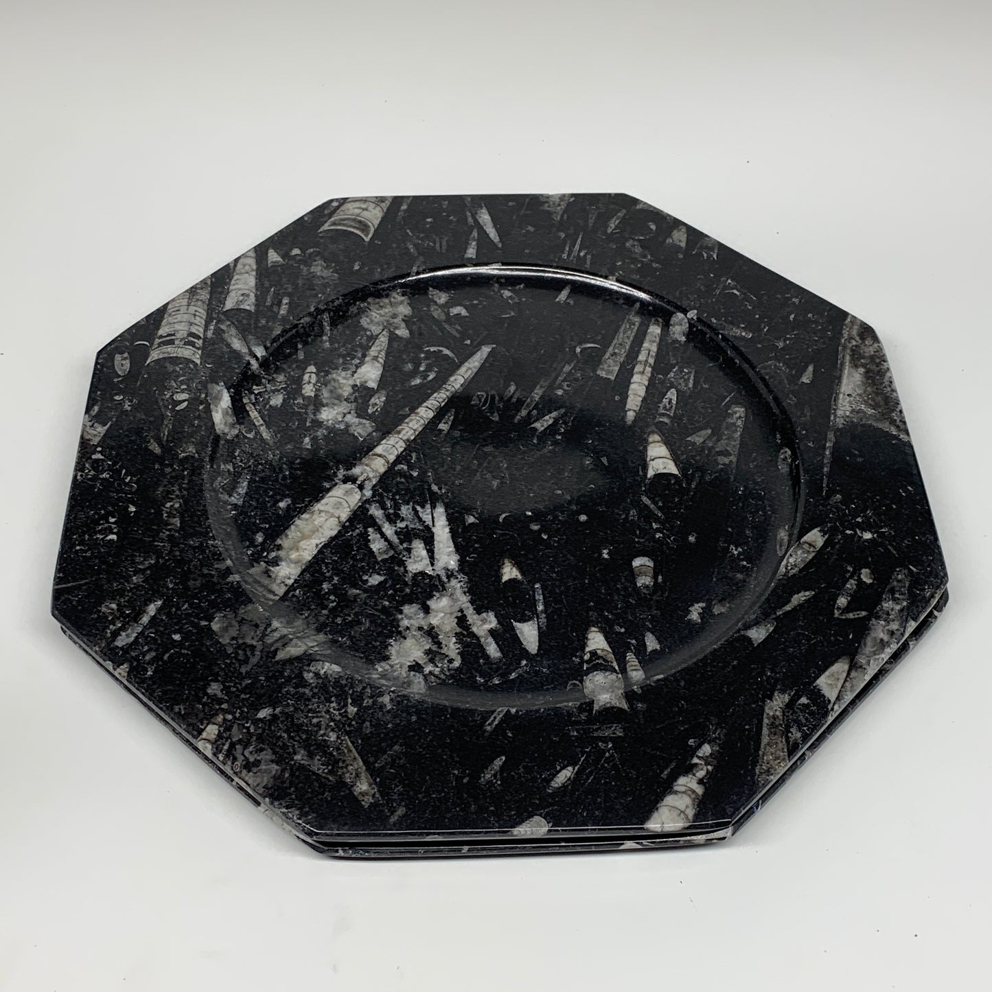 2pcs, 12" Large Octagon Shape Black Fossils Orthoceras Plates @Morocco, B8356