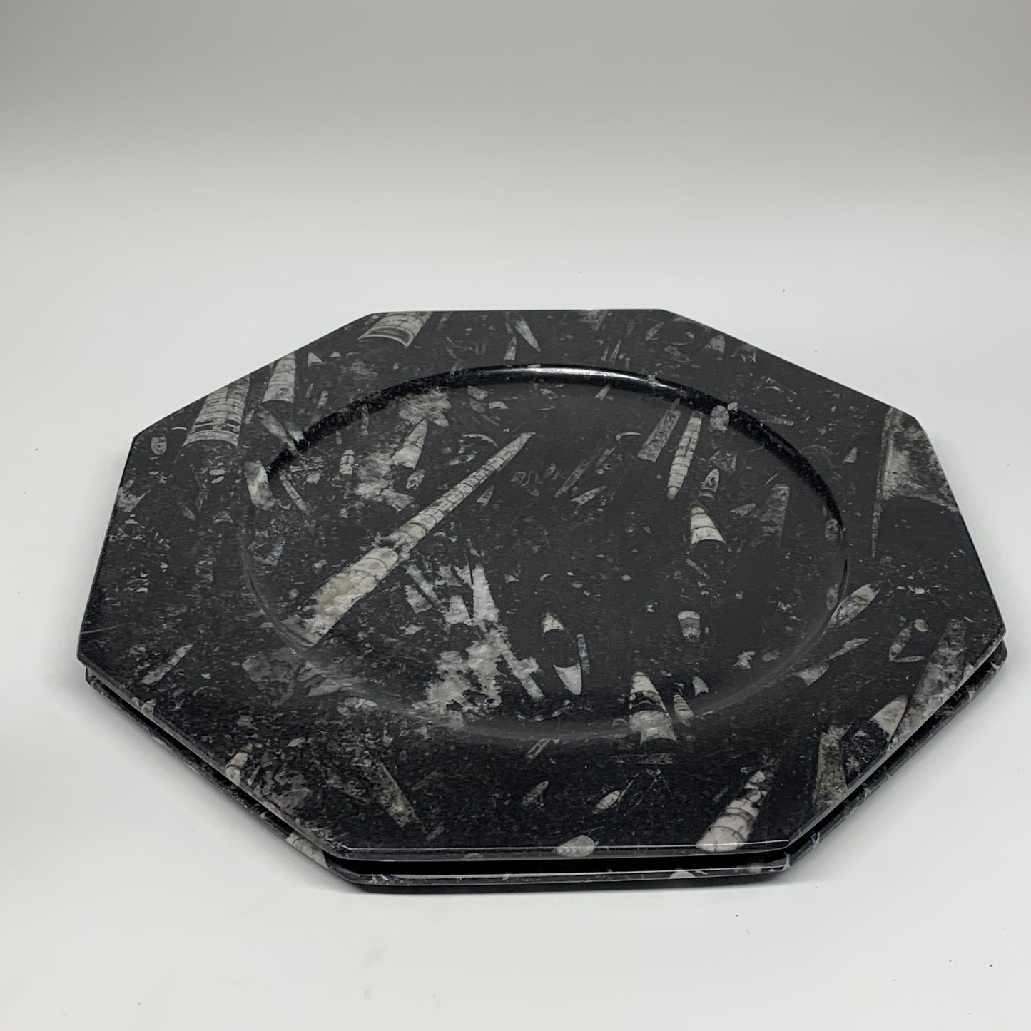 2pcs, 12" Large Octagon Shape Black Fossils Orthoceras Plates @Morocco, B8356