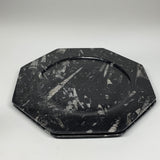 2pcs, 12" Large Octagon Shape Black Fossils Orthoceras Plates @Morocco, B8356