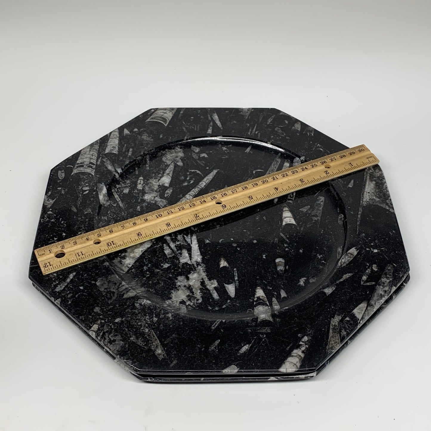 2pcs, 12" Large Octagon Shape Black Fossils Orthoceras Plates @Morocco, B8356
