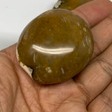 129.9g, 1.8"-2.1, 2pcs, Yellow Ocean Jasper Palm-Stone Decor @Madagascar, B18185